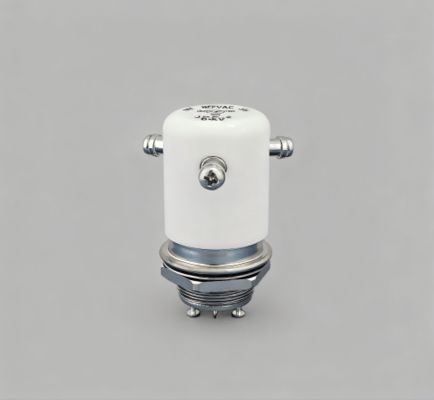 satın al JPK-2-WP Yüksek Voltajlı Relay DC15KV 50A Akım Taşıyor Vakum Relay Değiştirici Bobin Voltajı 24 VDC 12VDC online manufacture