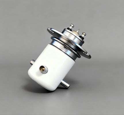 satın al JPK2SF Vakum Rölesi Yüksek Gerilim SPDT Röle, 15KV DC 50A Akım ve 12V/24V Bobin Gerilimi online manufacture